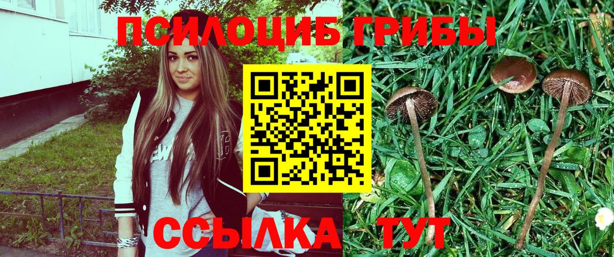 Псилоцибиновые грибы Cubensis  Вход с VPN  Златоуст 